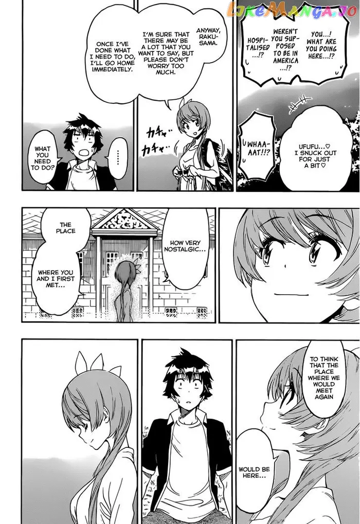 Nisekoi Chapter 219 image 13_optimized